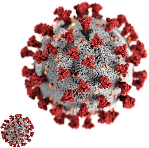 virus